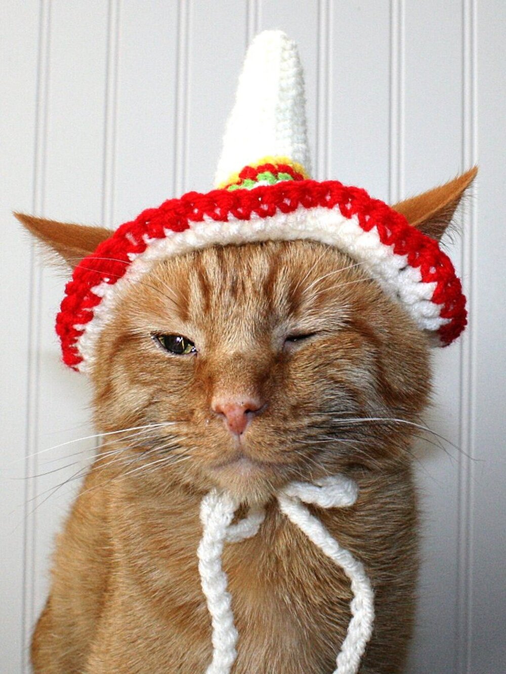 HAND CRAFTED Crochet Sombrero Cinco De Mayo Cat Hat Costume Photo Prop